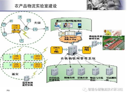 物联网技术在智能物流系统中的网络系统安装与集成实践